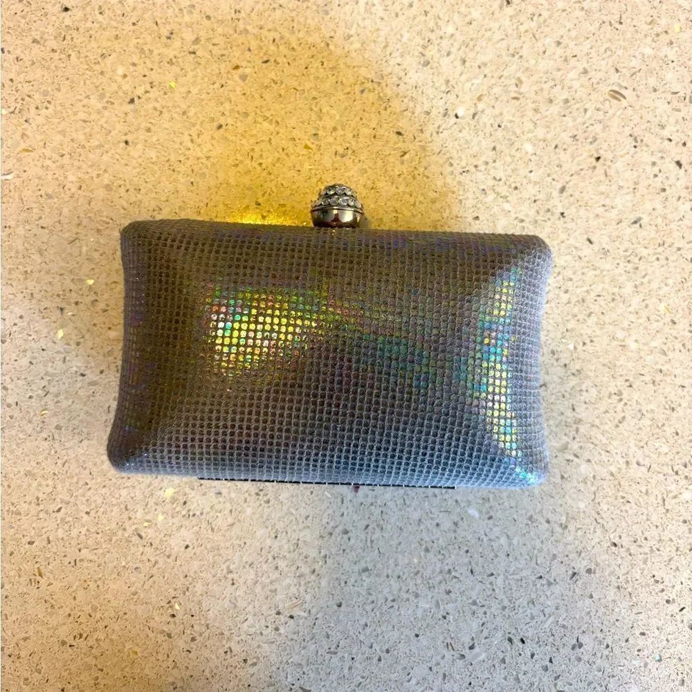 Expressions Silver Iridescent Evening Bag by Expressions NYC